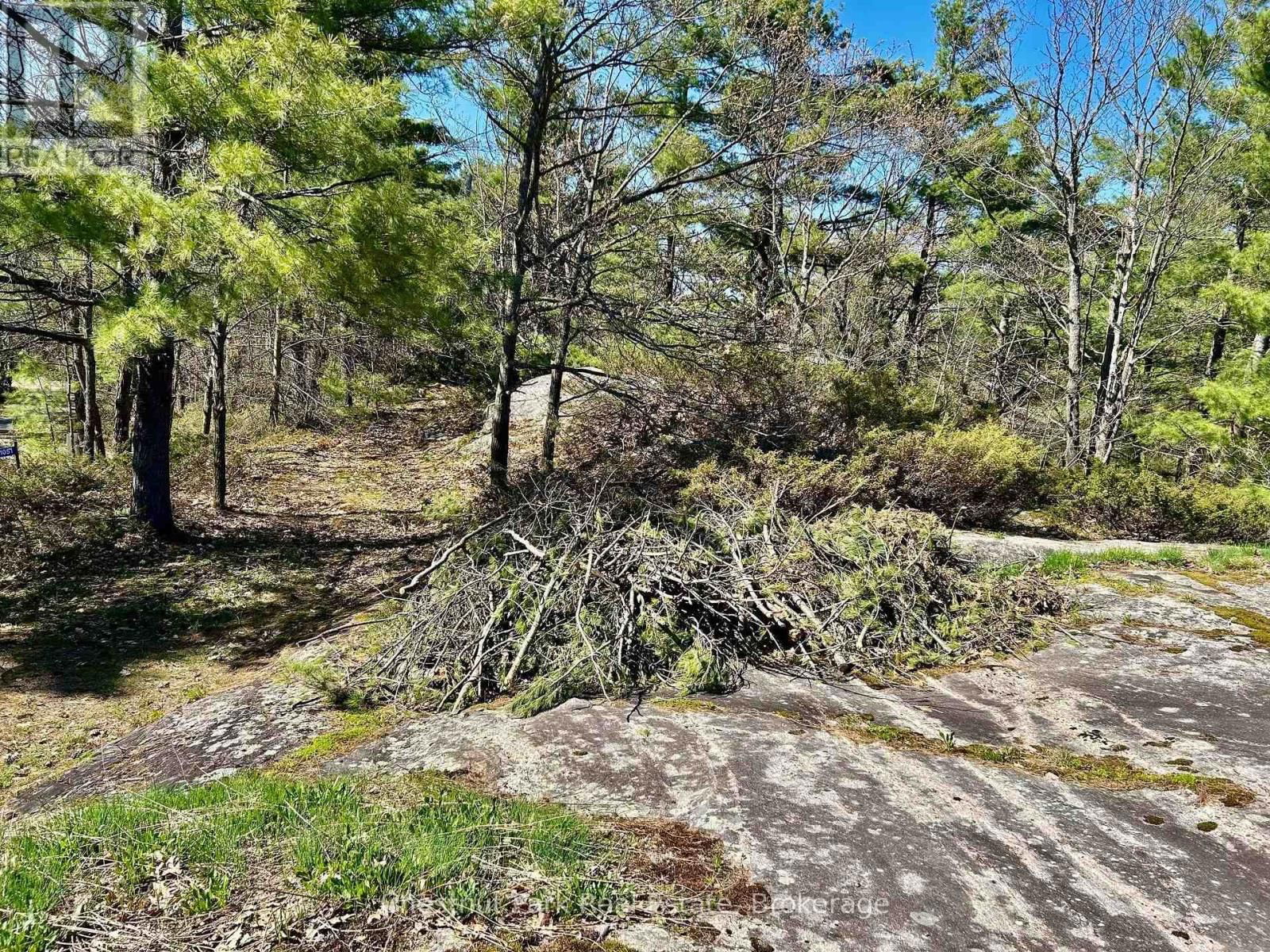 1 - 1-1051 WIGWAM LODGE ROAD Image 26
