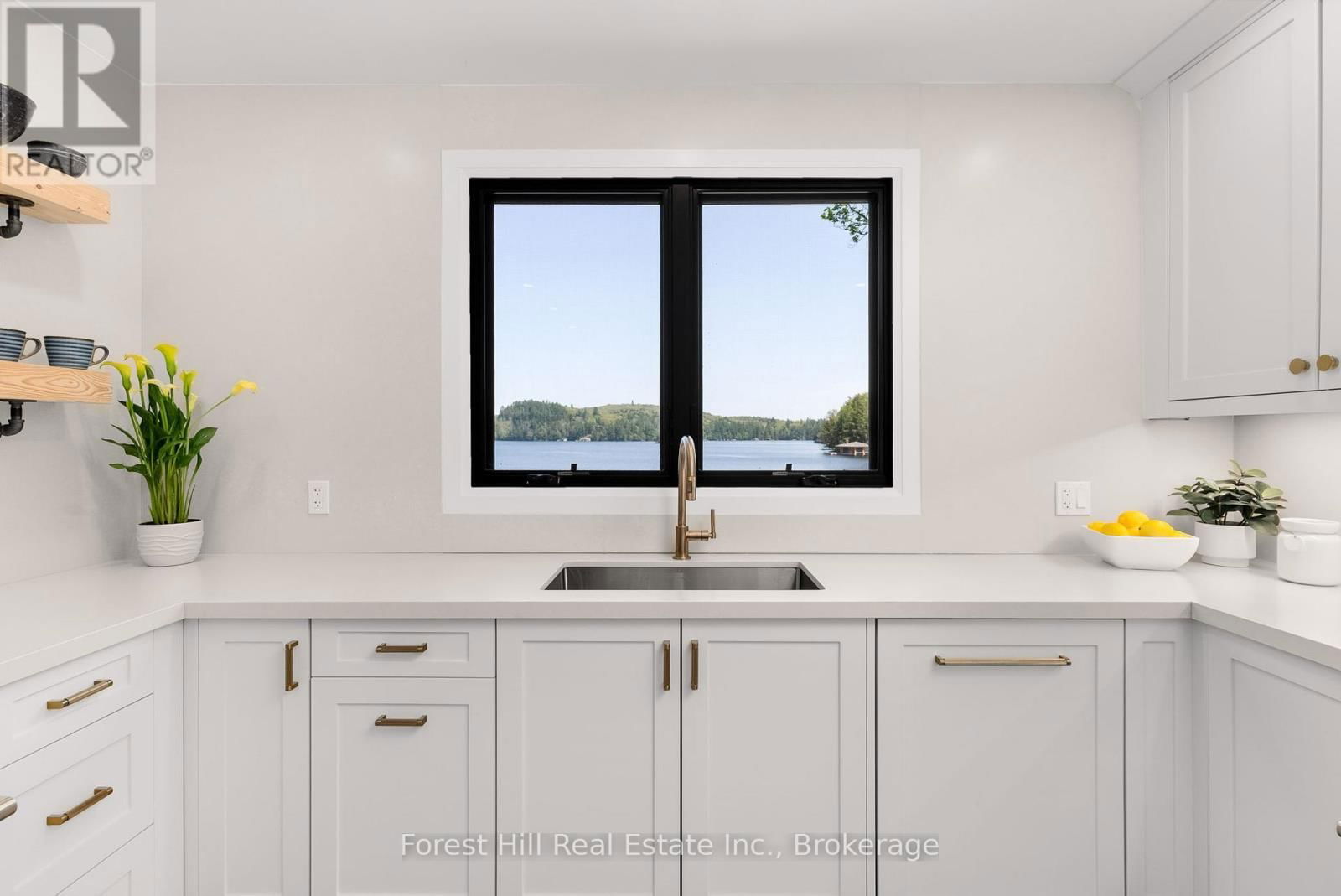 1017 WHITE PINE ROAD Image 29
