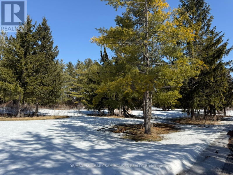 Tertiary Property View