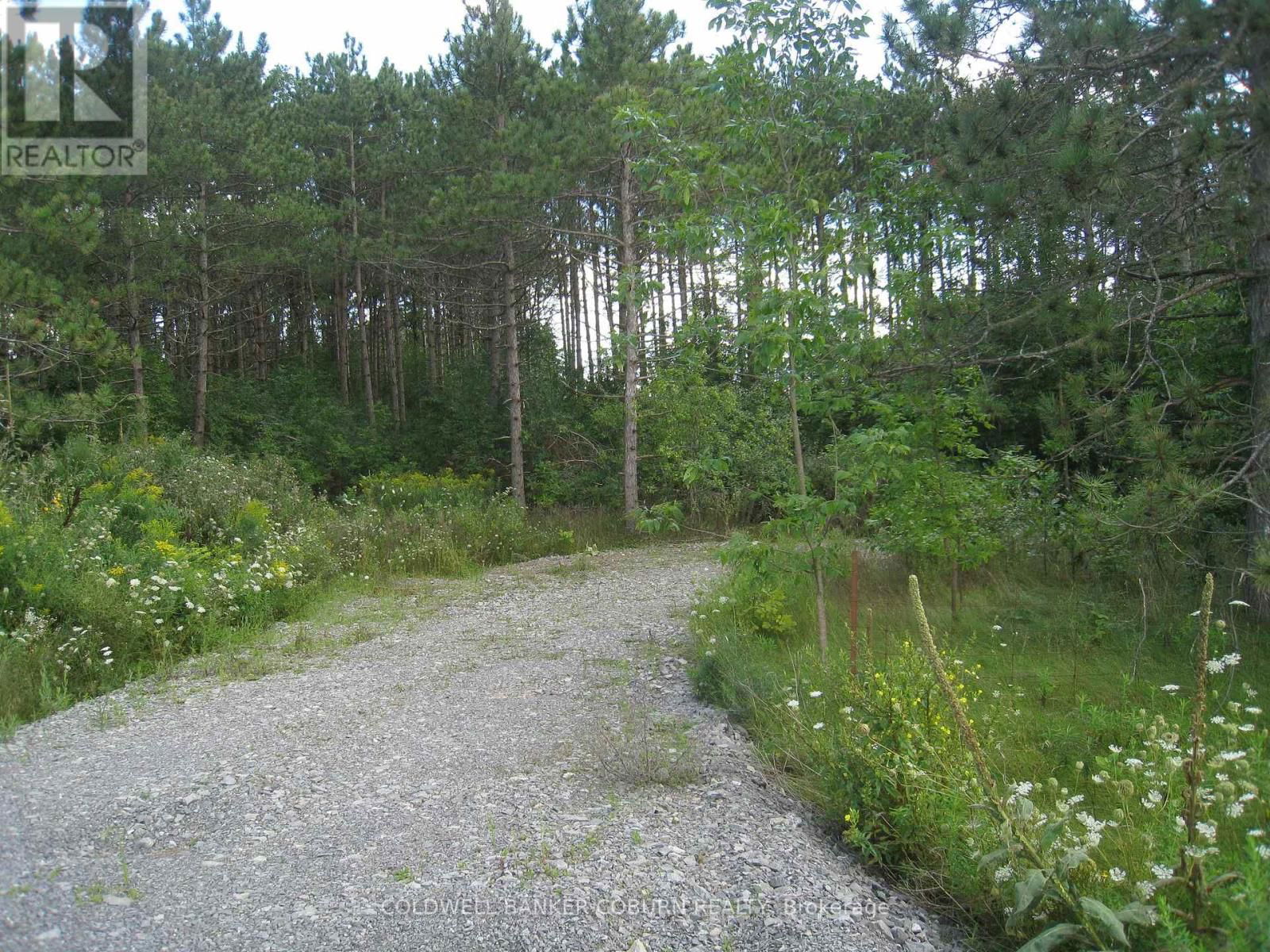 621 HIGHWAY 43 HIGHWAY WEST Image 11
