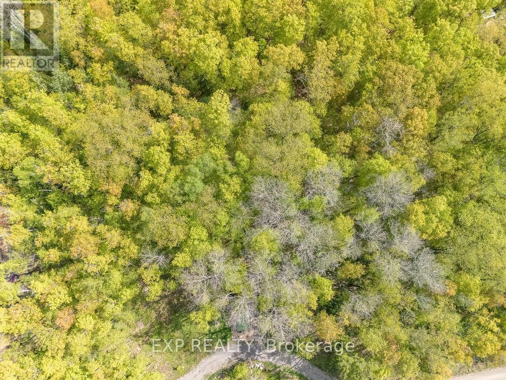 178 MAPLEGROVE LANE Image 39