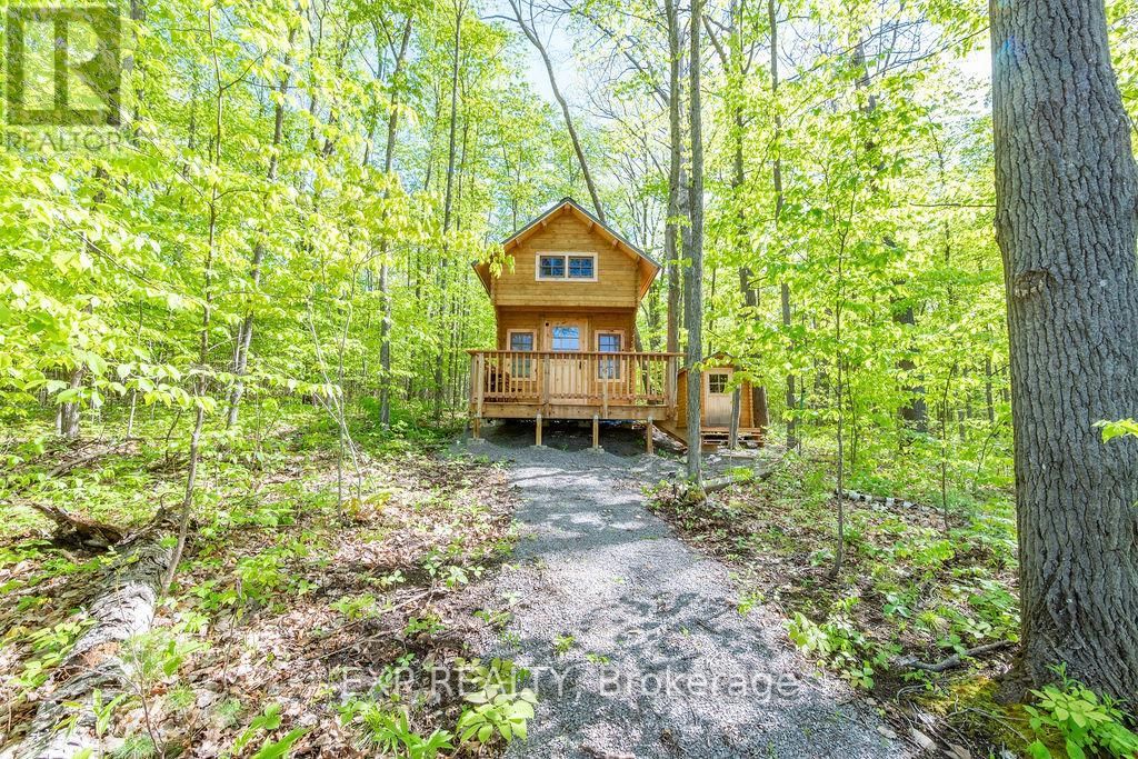 178 MAPLEGROVE LANE Image 5