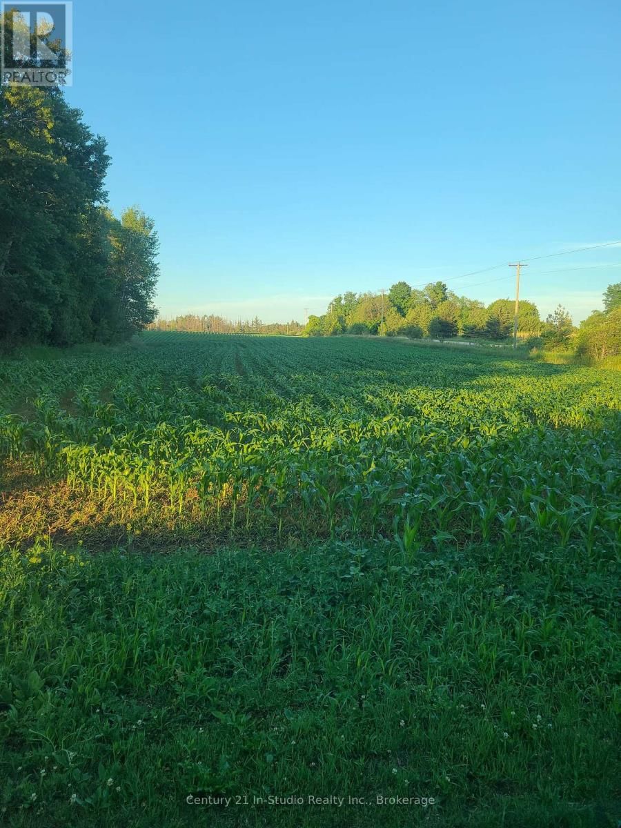 381103 CONCESSION ROAD 4 NDR Image 41