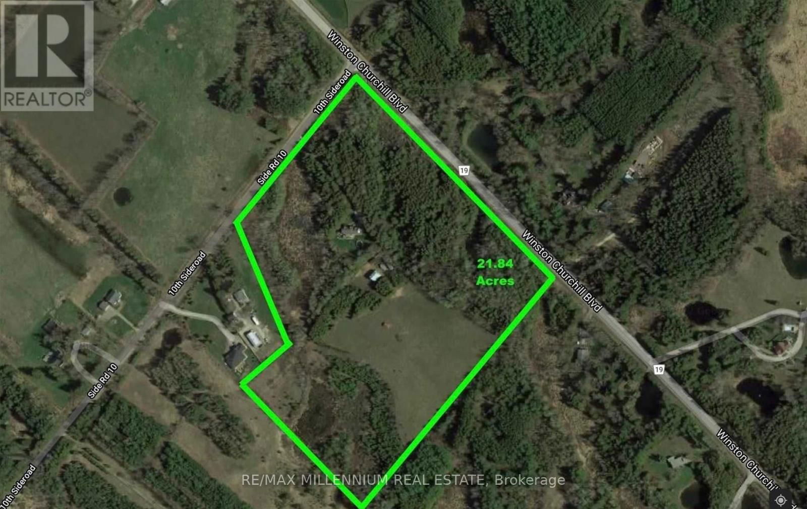Primary Property View