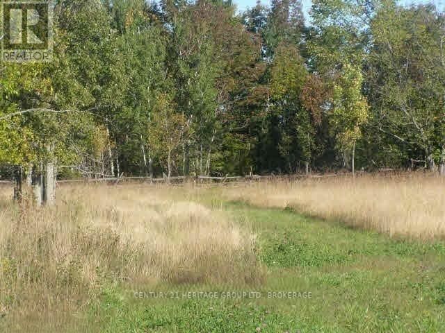 0 BUTTERMILK FALLS ROAD Image 3