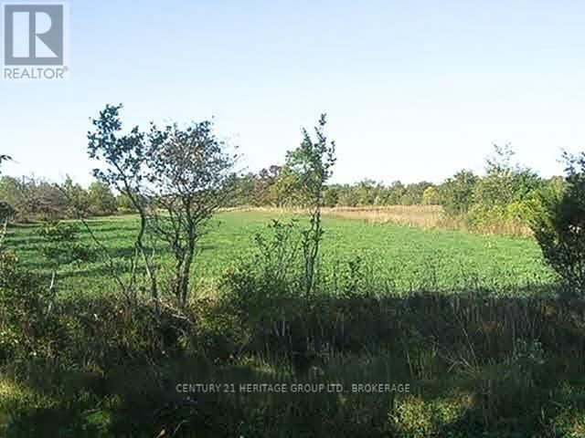 0 BUTTERMILK FALLS ROAD Image 4