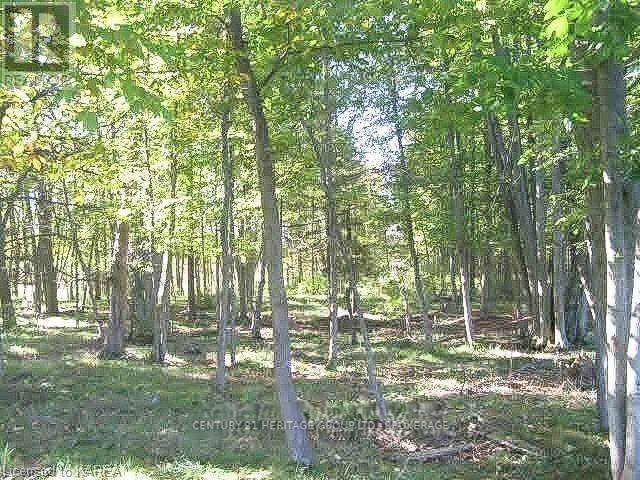 0 BUTTERMILK FALLS ROAD Image 6
