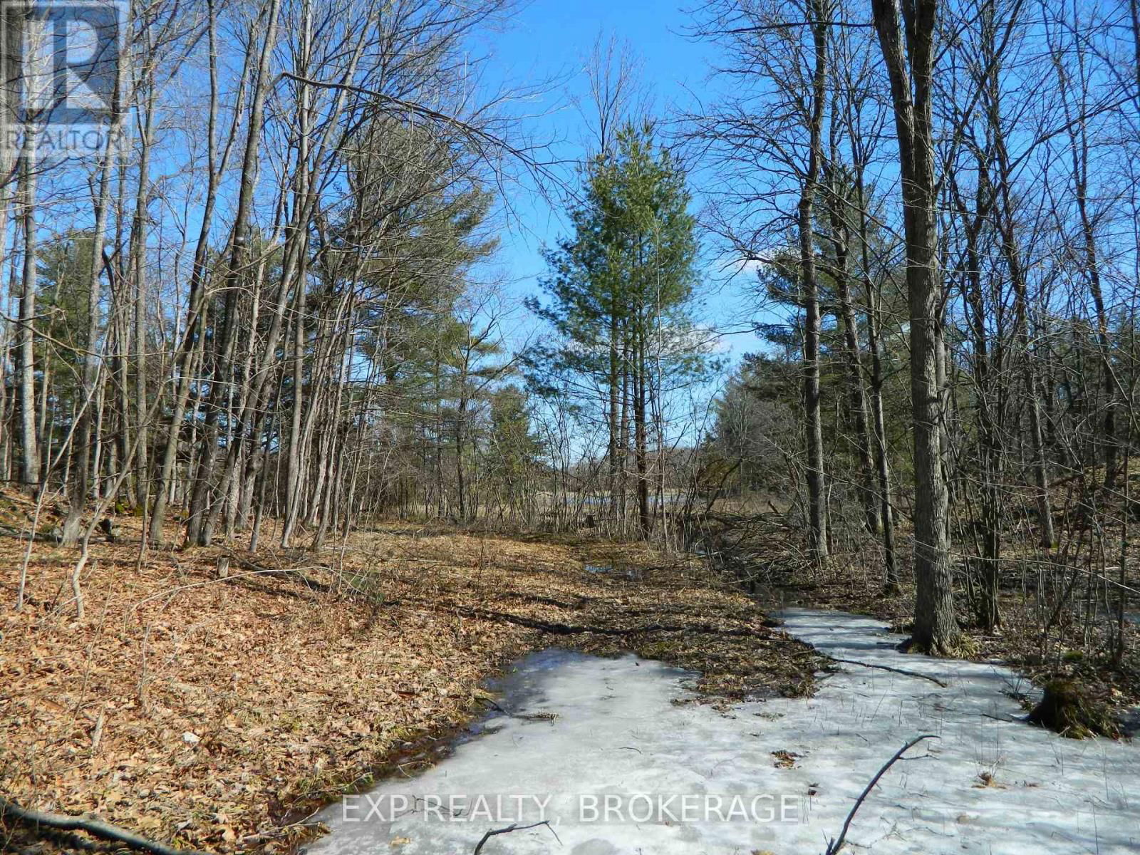 4965 OPINICON ROAD Image 47