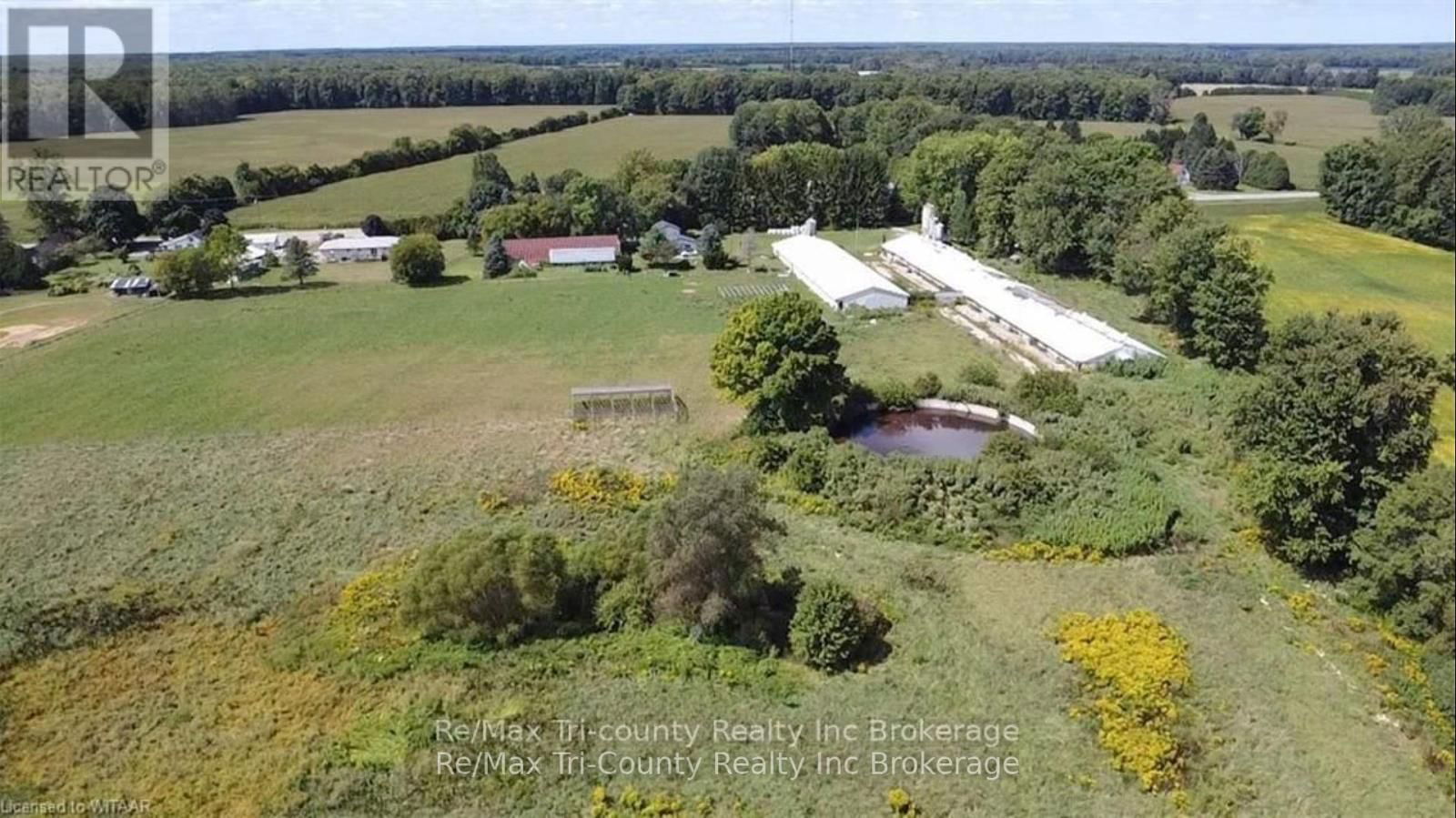 Primary Property View