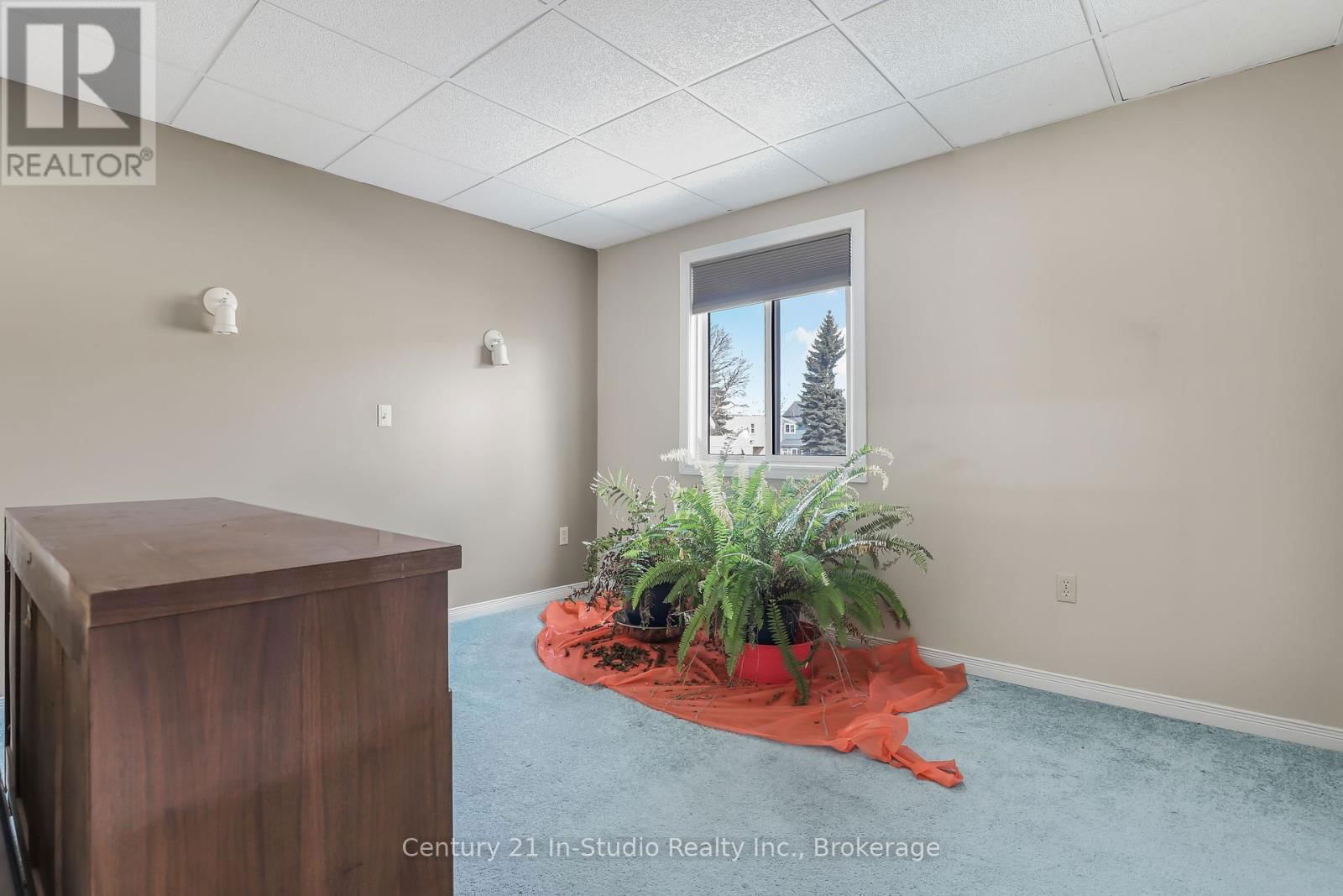 228 PALMERSTON STREET Image 35