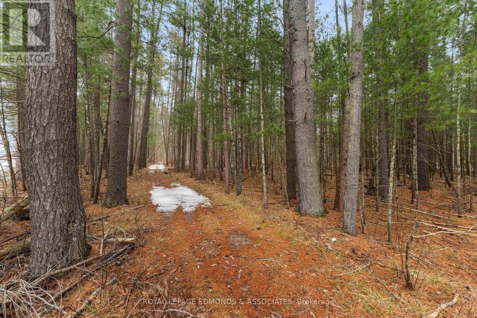 PT 1 LAKE DORE ROAD Image 13