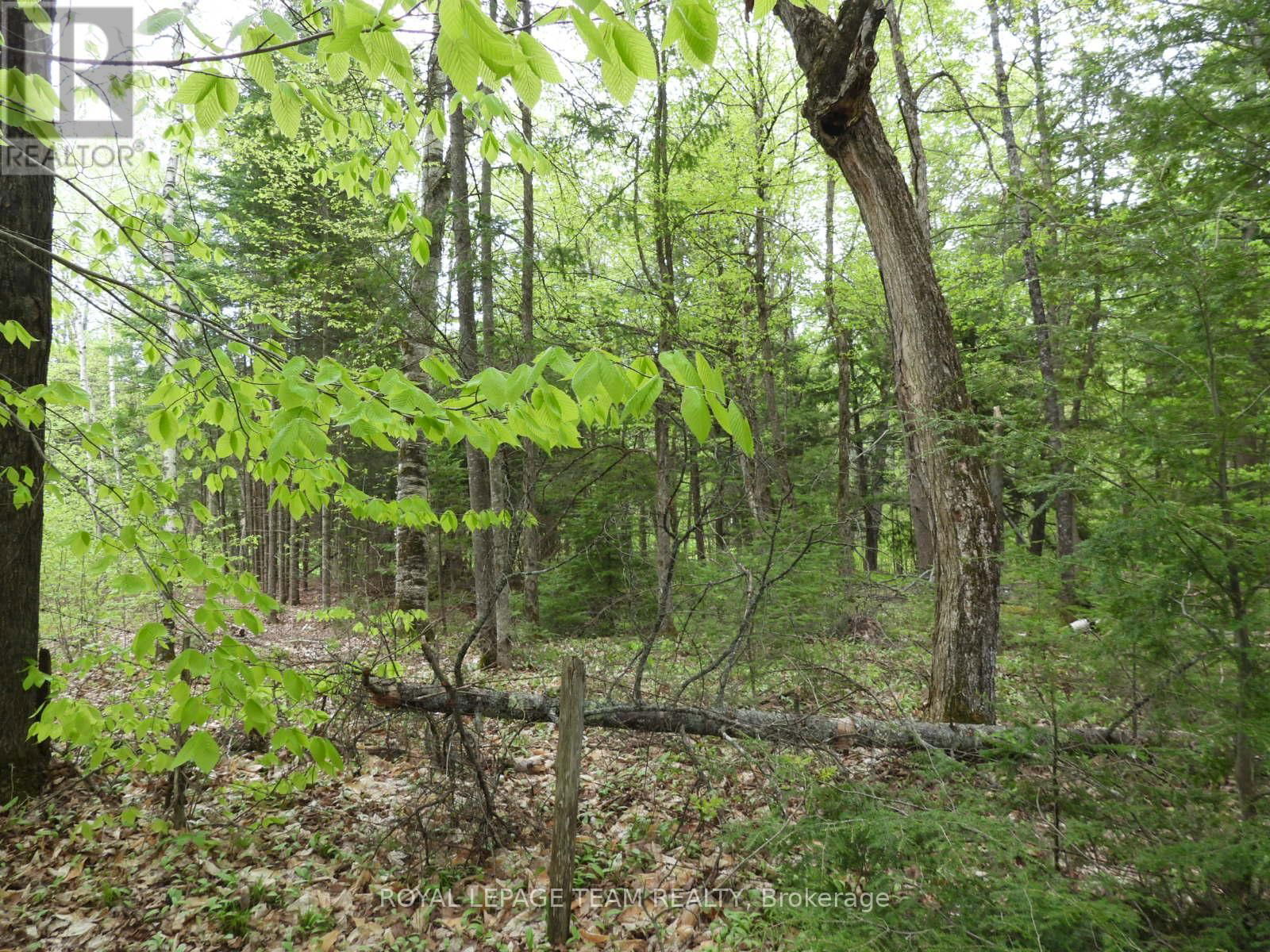 112 MITCHELL LANE Image 10