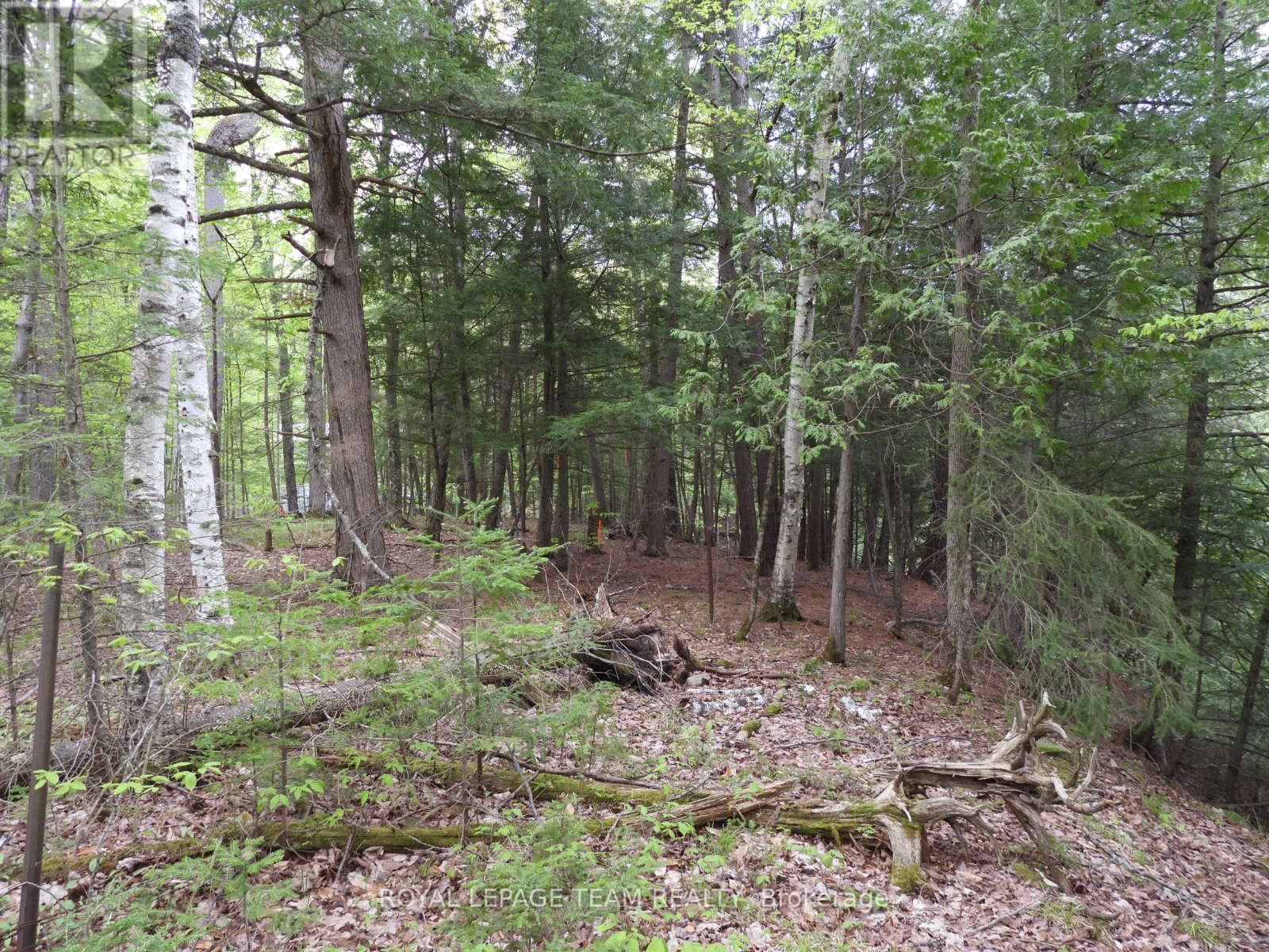 112 MITCHELL LANE Image 11