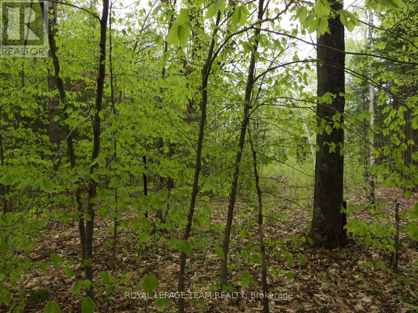 112 MITCHELL LANE Image 12