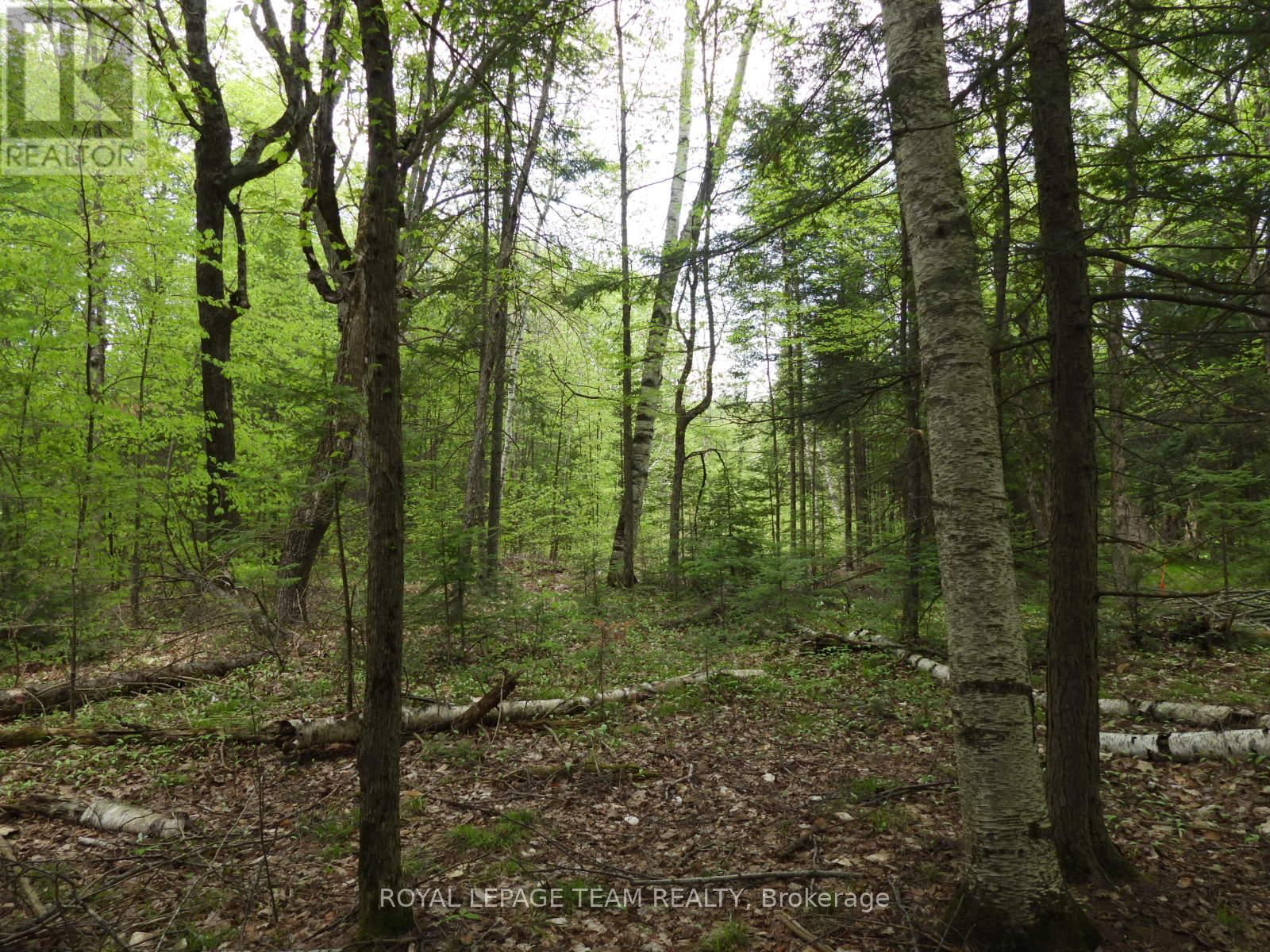 112 MITCHELL LANE Image 14