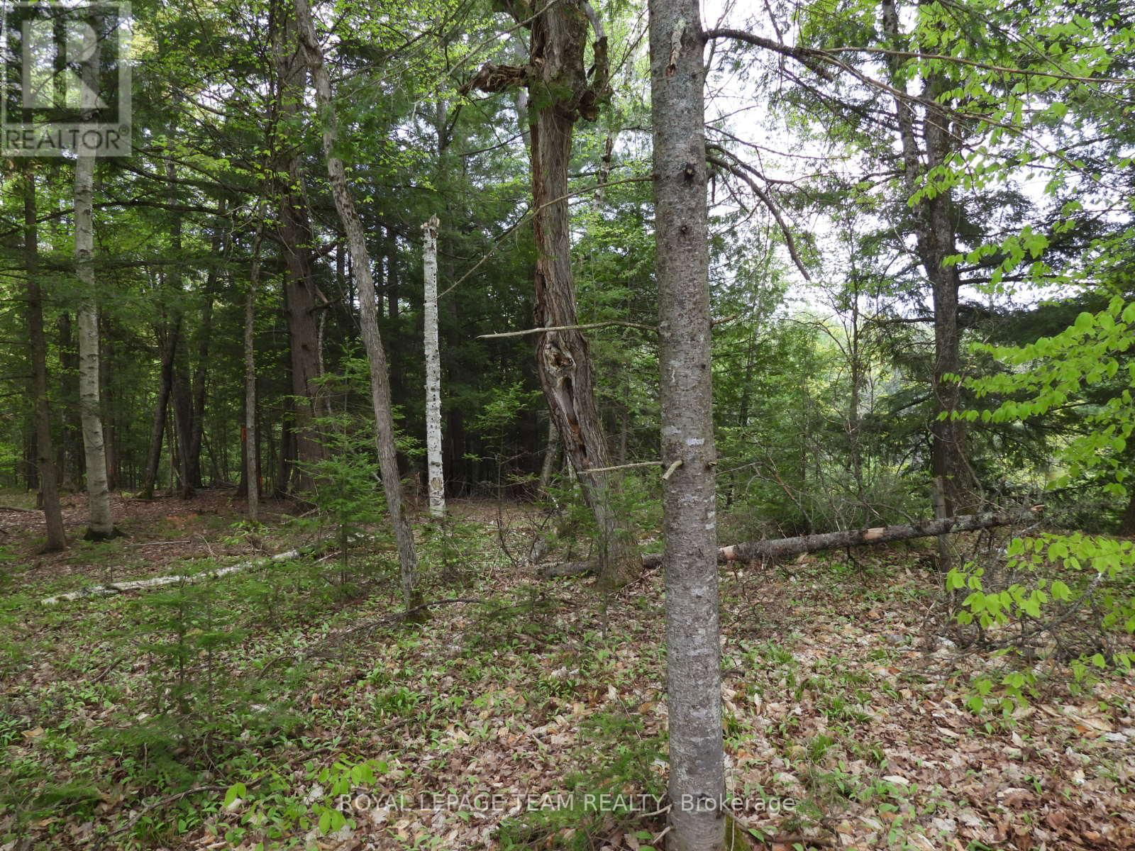 112 MITCHELL LANE Image 16