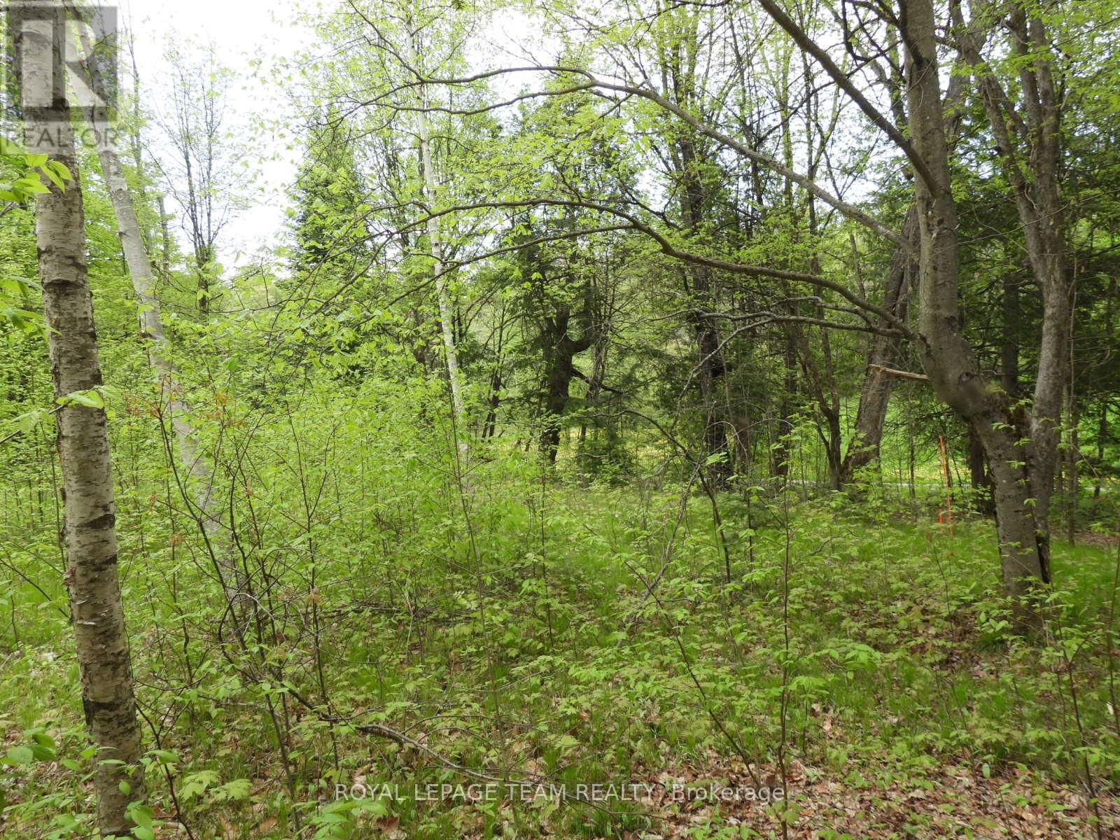 112 MITCHELL LANE Image 18