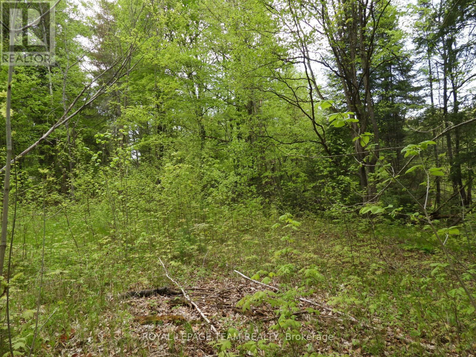 112 MITCHELL LANE Image 19