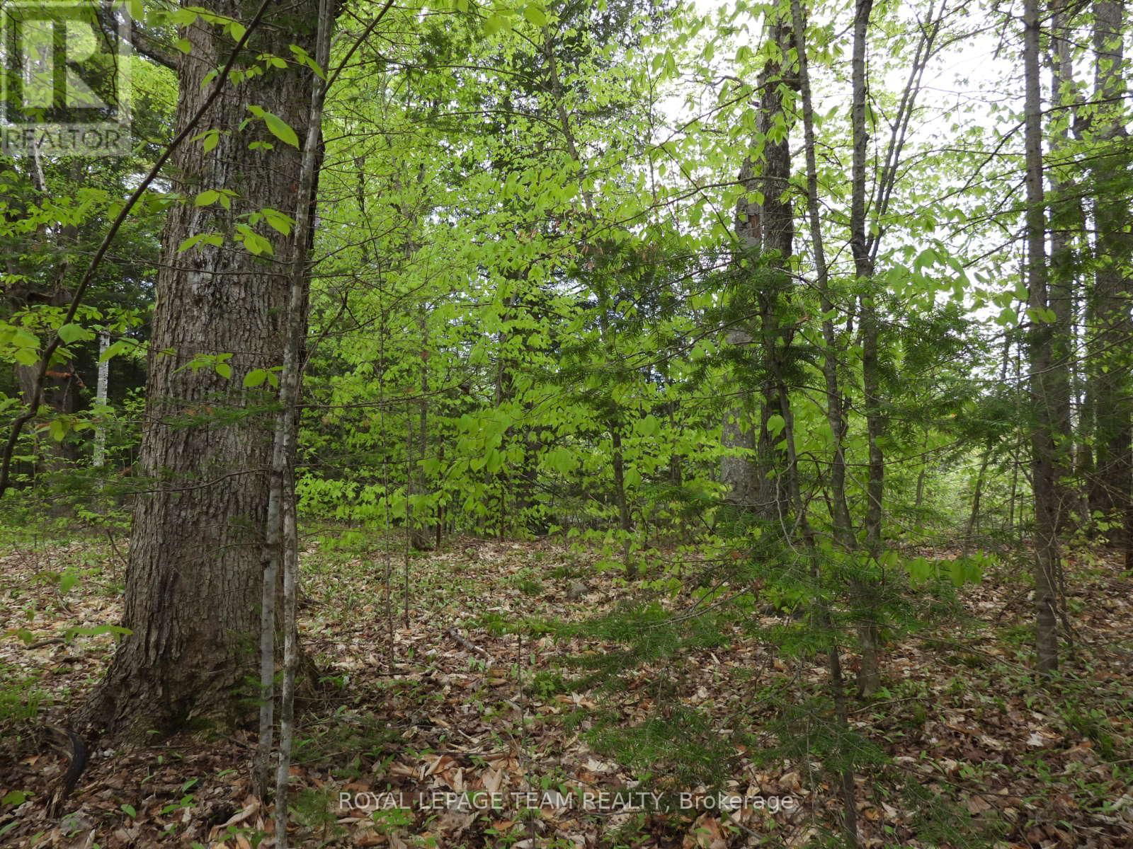 112 MITCHELL LANE Image 2