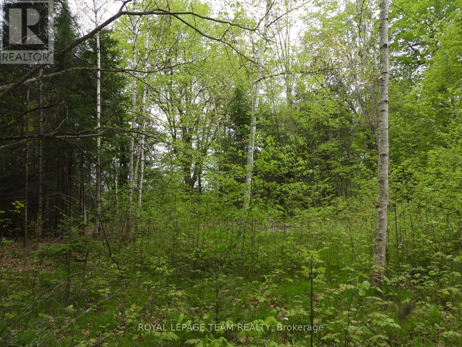 112 MITCHELL LANE Image 20