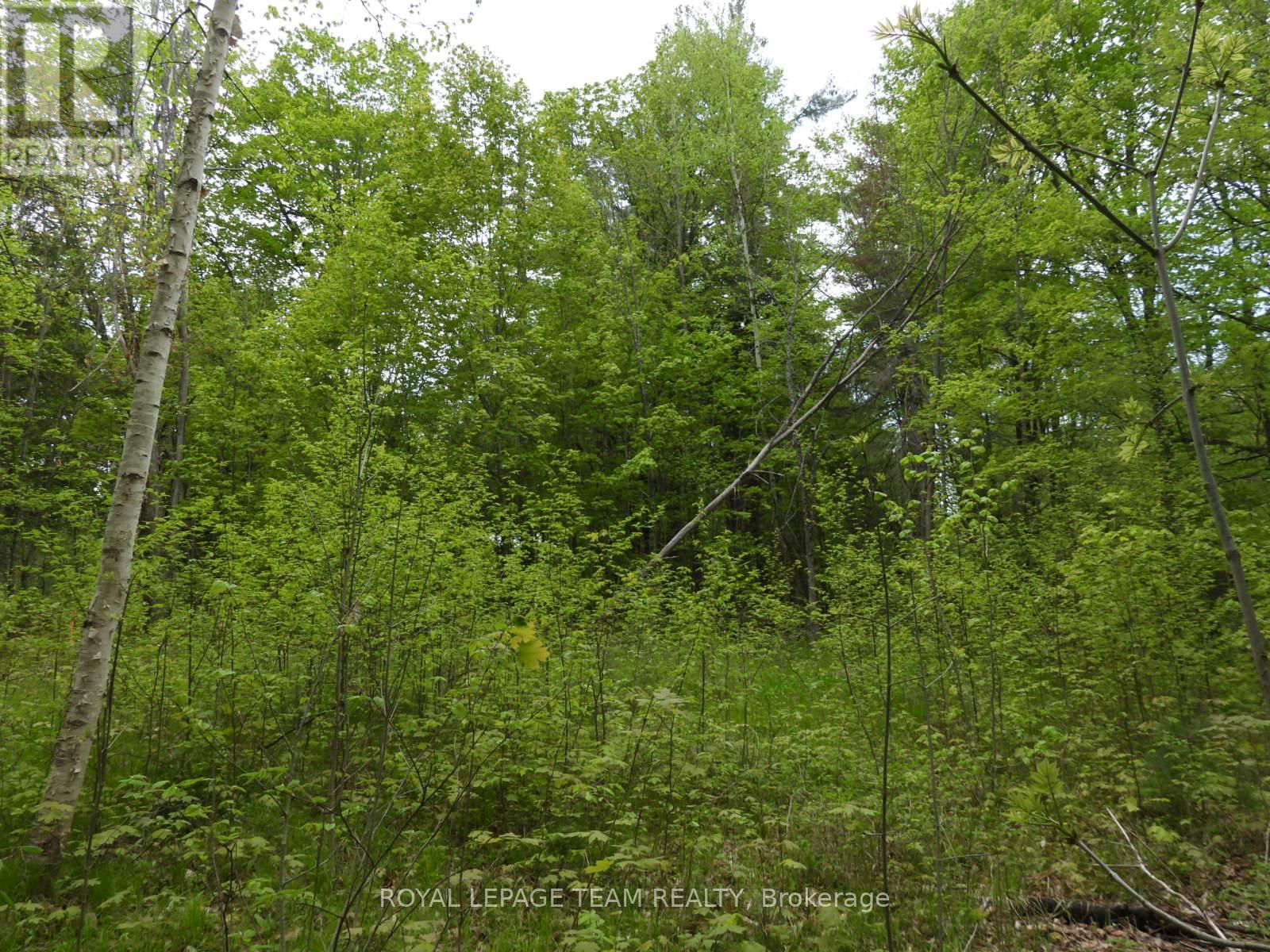112 MITCHELL LANE Image 21