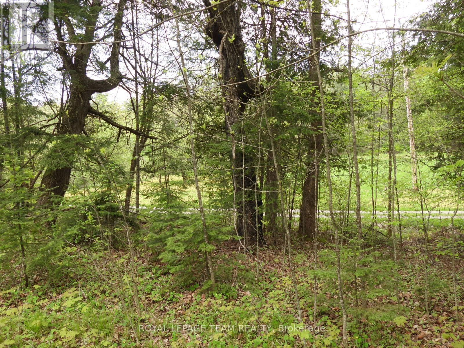 112 MITCHELL LANE Image 22