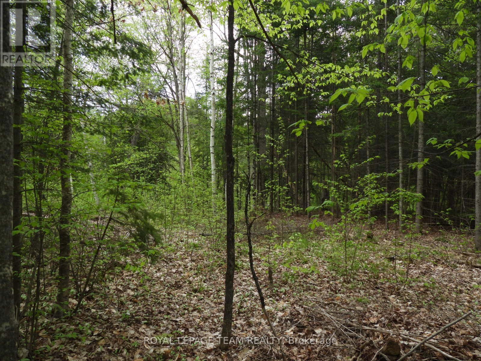 112 MITCHELL LANE Image 3
