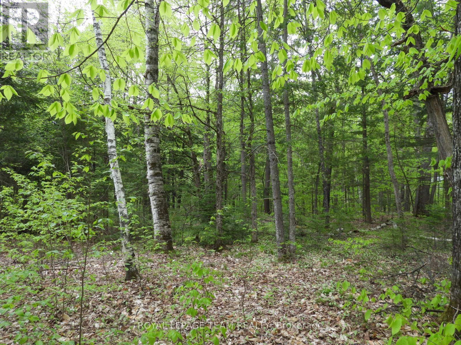 112 MITCHELL LANE Image 4
