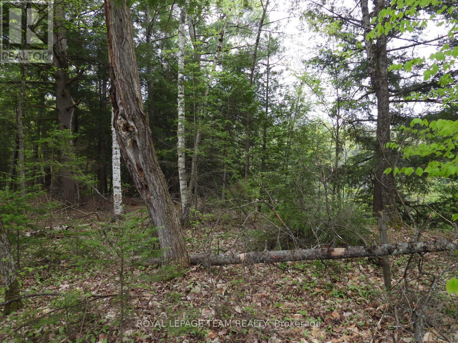 112 MITCHELL LANE Image 6