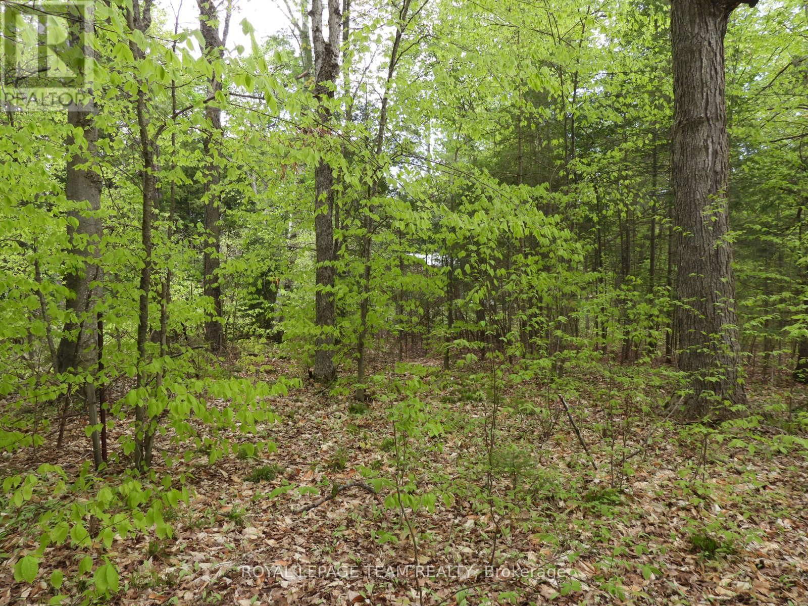 112 MITCHELL LANE Image 7