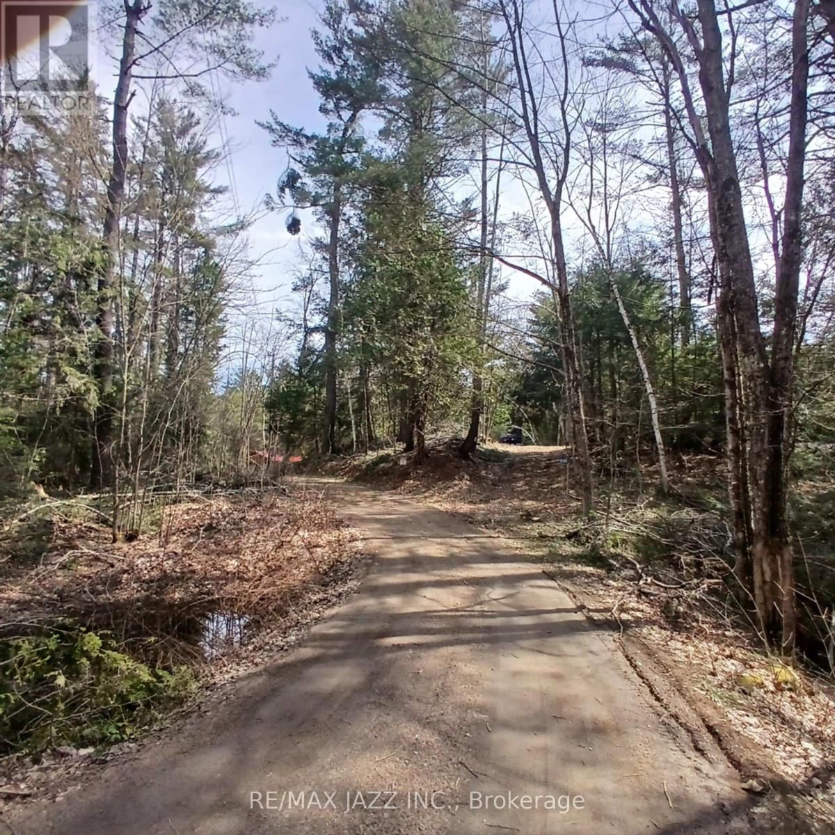 0 CONCESSION 3 ROAD Image 13
