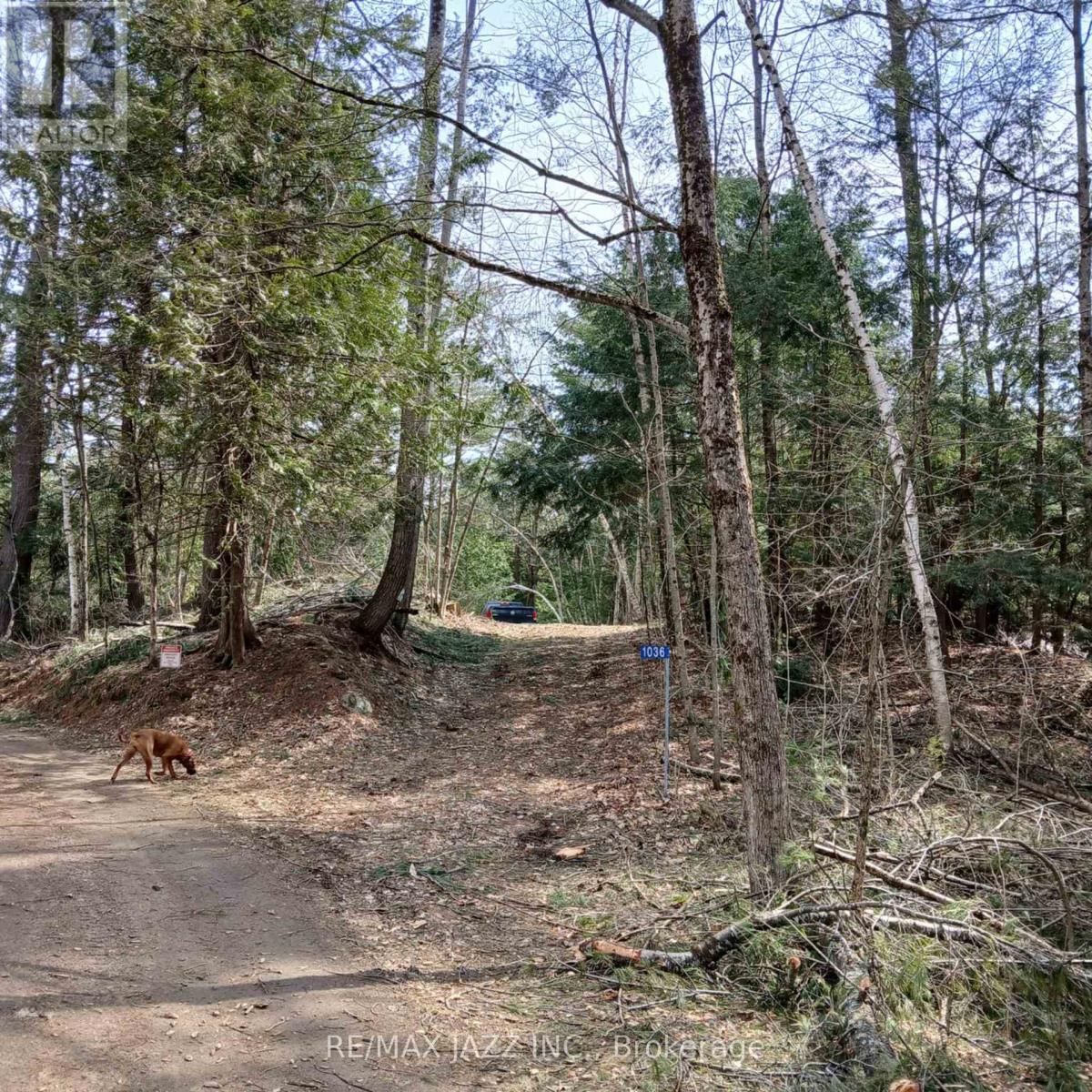 0 CONCESSION 3 ROAD Image 14
