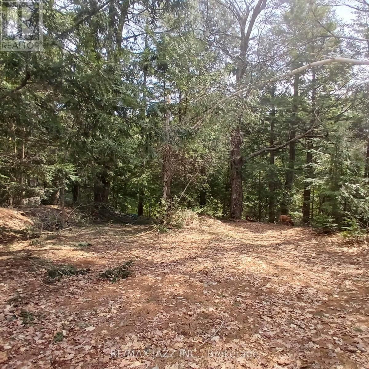 0 CONCESSION 3 ROAD Image 2