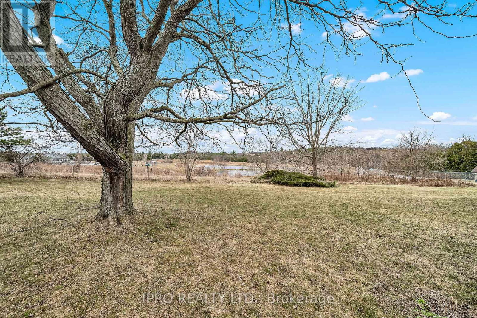 137 MAPLE CRESCENT Image 21