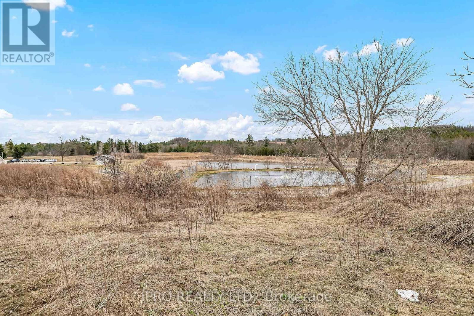 137 MAPLE CRESCENT Image 23