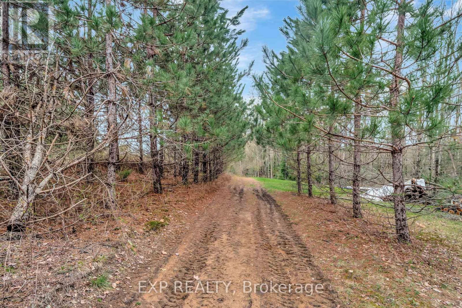 1469 QUEENSBOROUGH ROAD Image 42