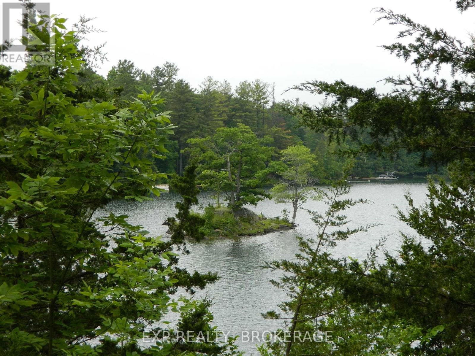 Primary Property View