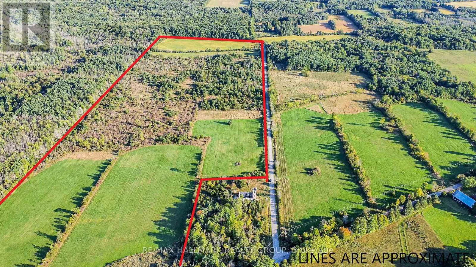 Primary Property View