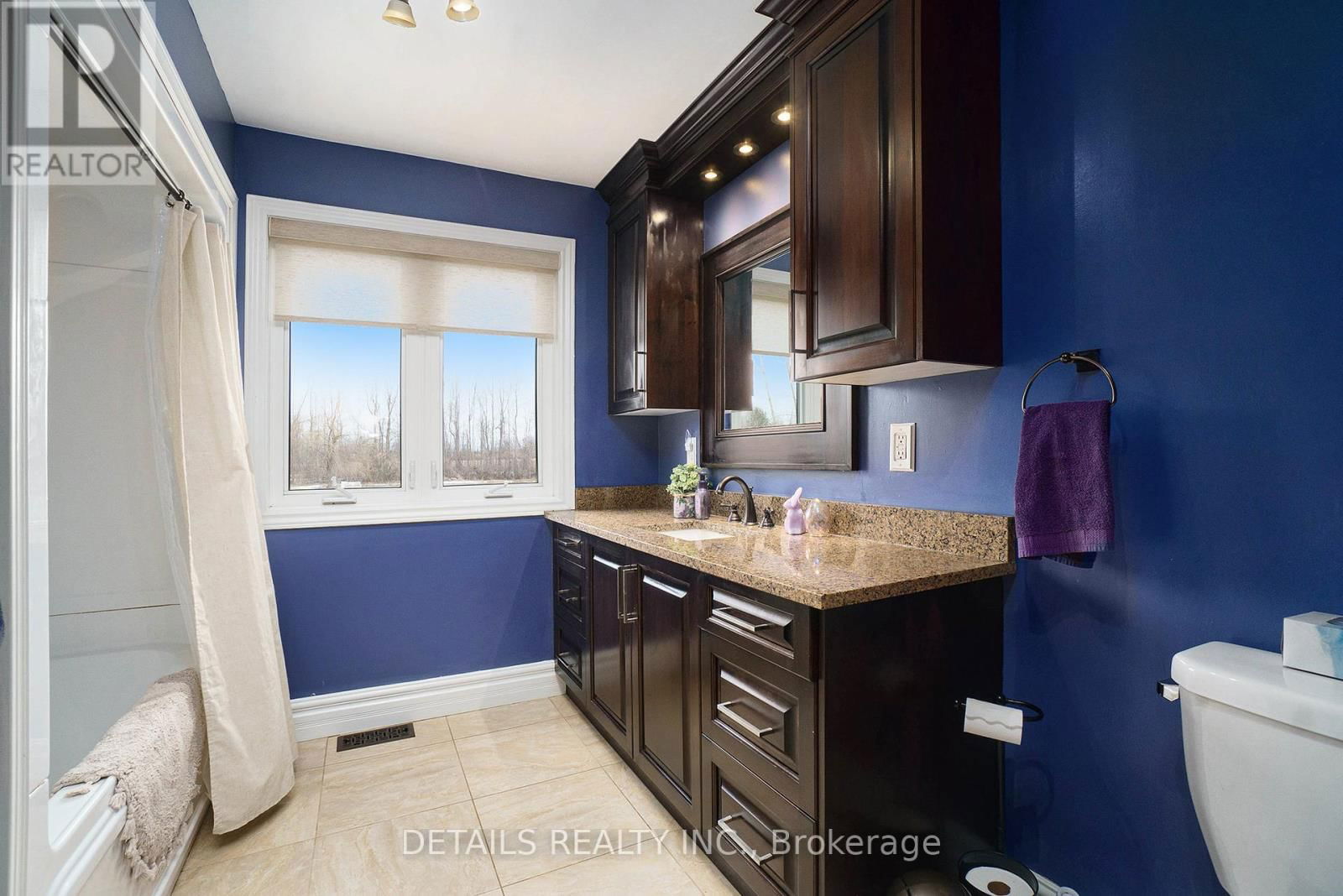 10083 MCINTYRE ROAD Image 16