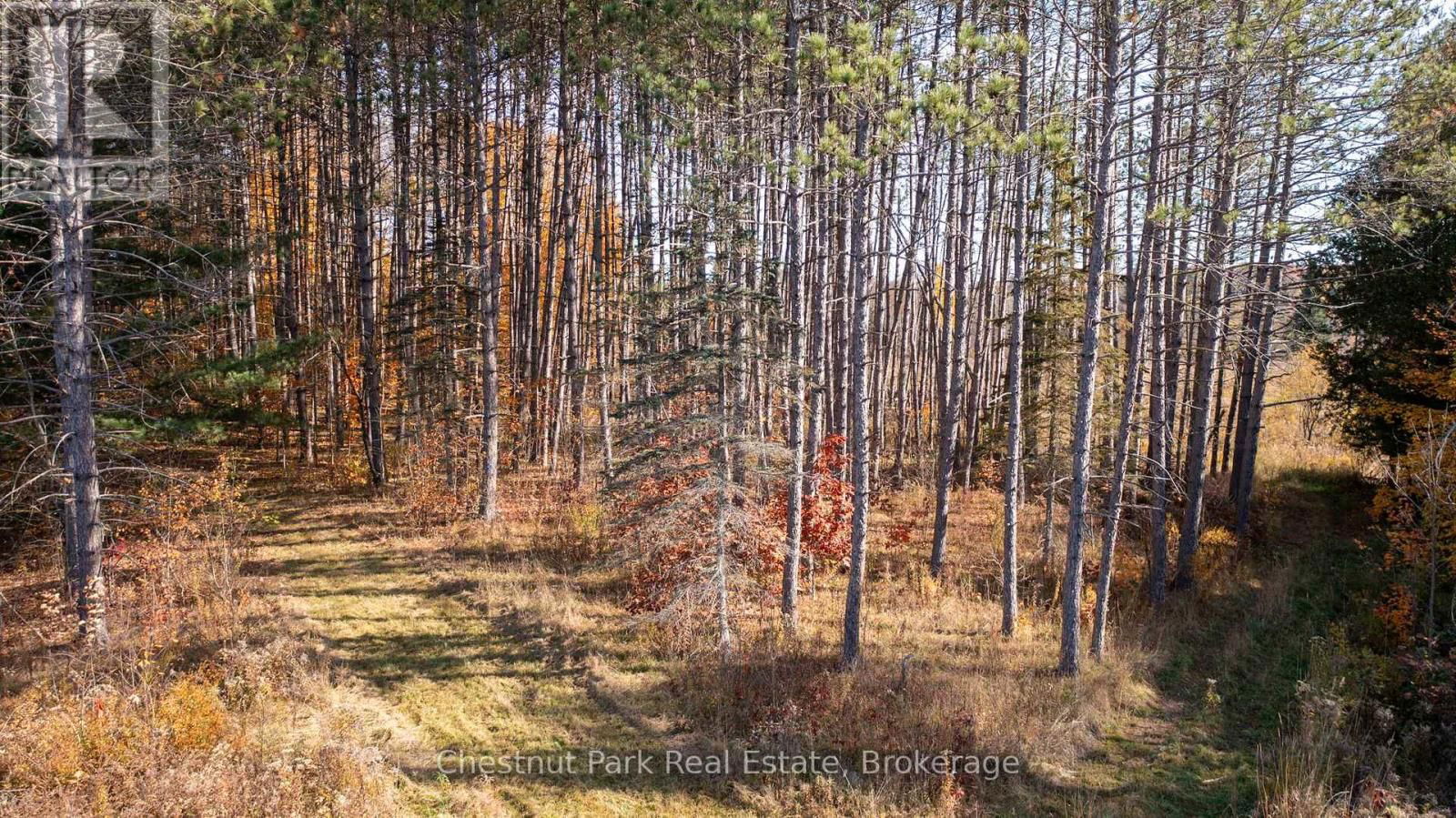 1236 BUTTER & EGG ROAD Image 11