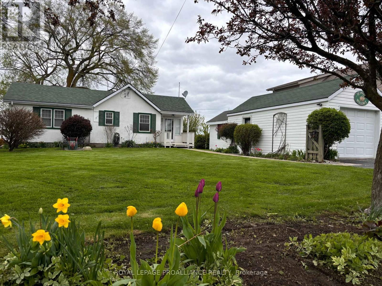 34 RIDLEY STREET Image 1