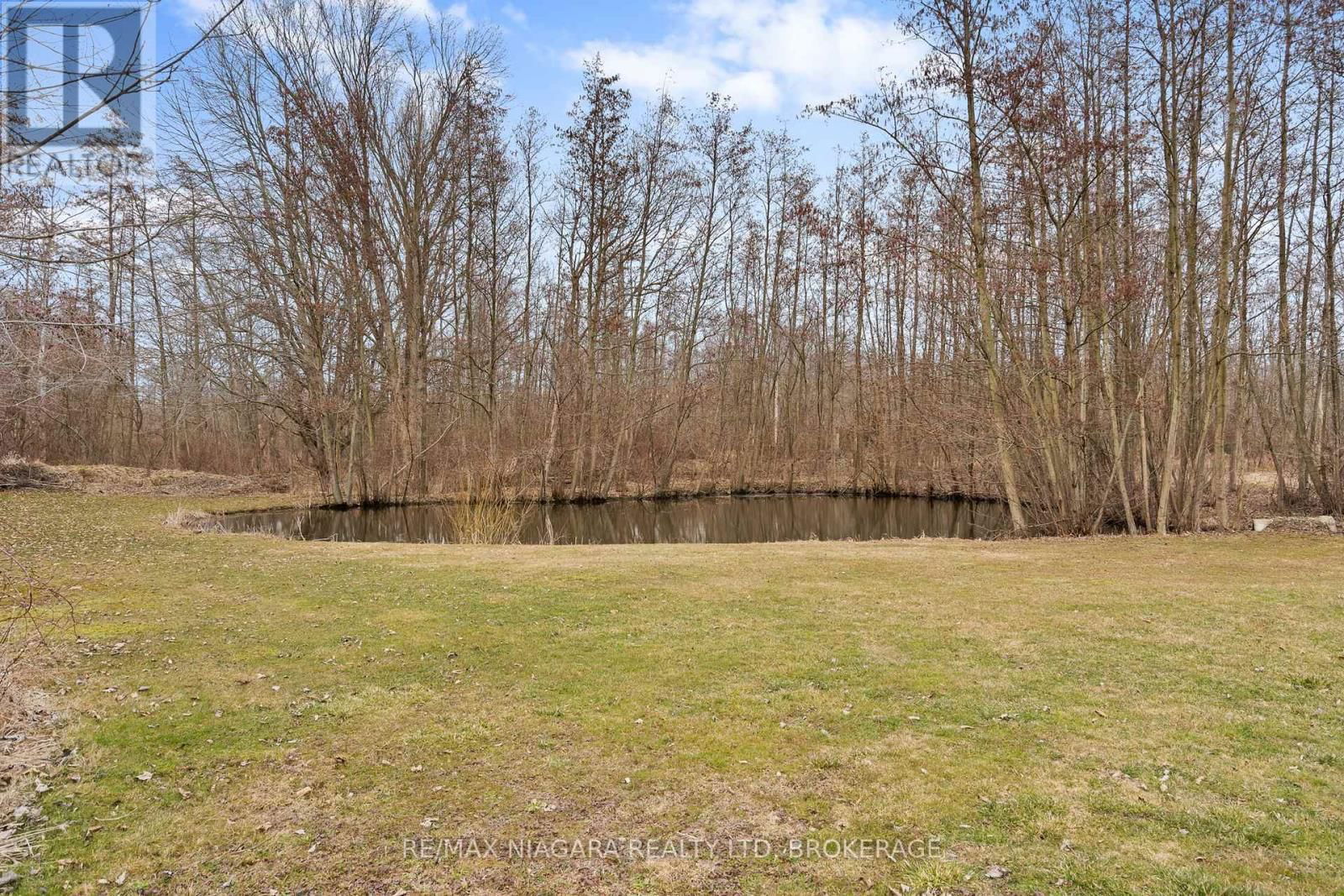 12262 LAKESHORE ROAD Image 41