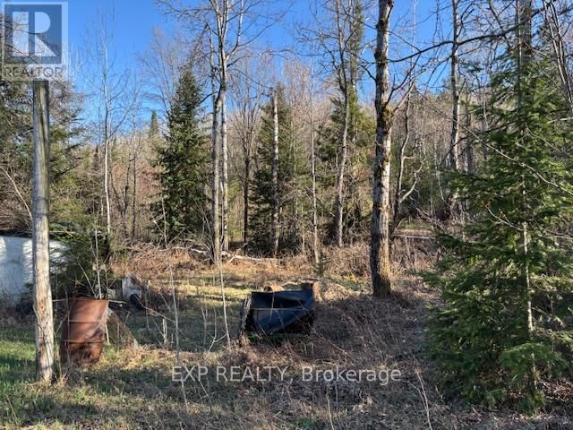 155 DAWSON ROAD Image 27