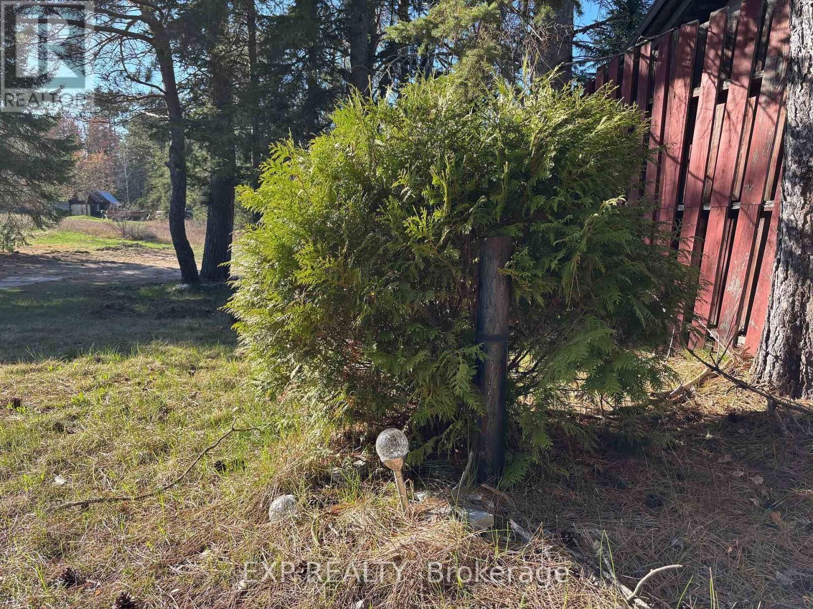 155 DAWSON ROAD Image 31