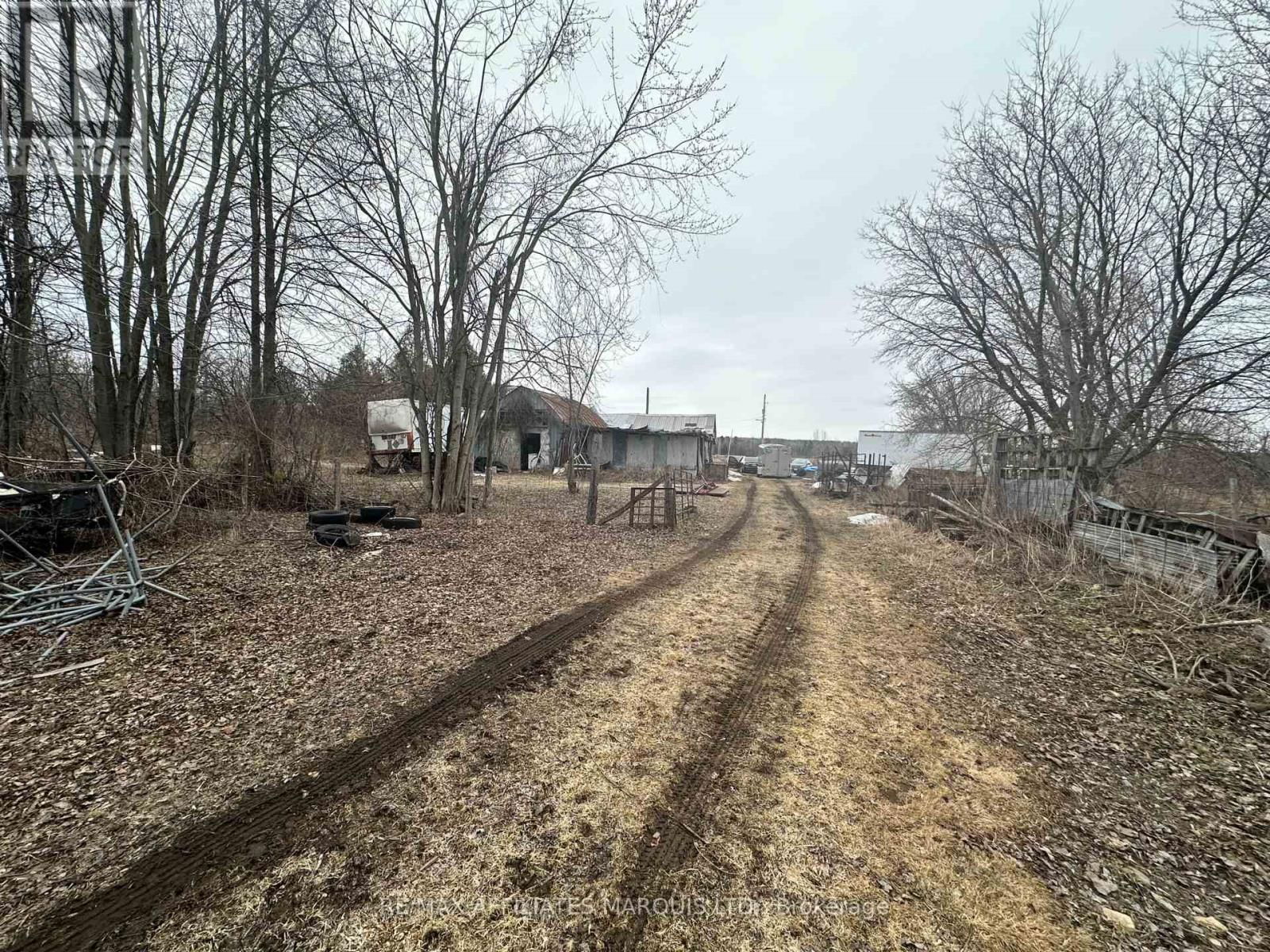 17440 AMELL/RANALD GEO ROAD Image 5