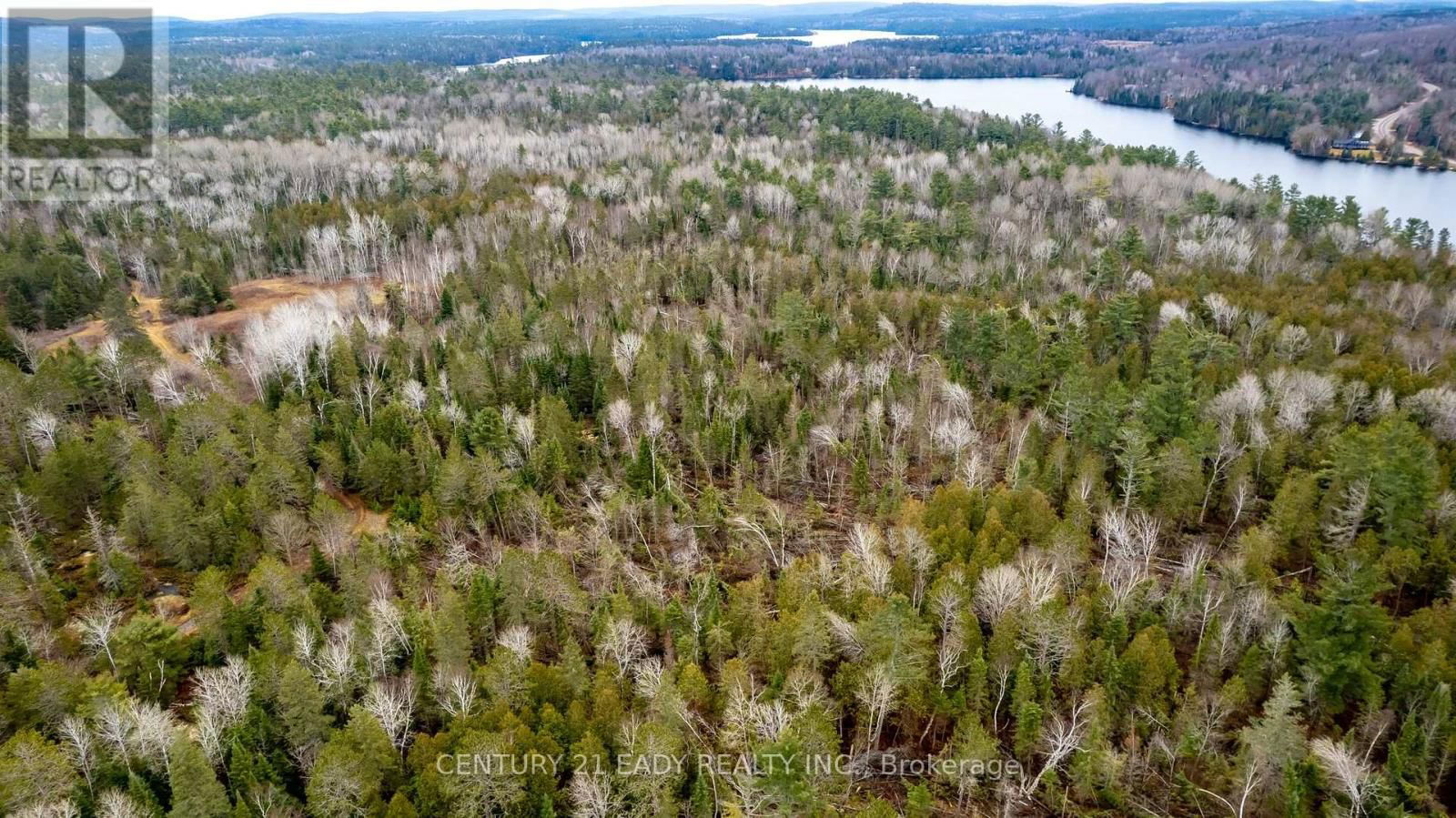 00 CENTENNIAL LK ROAD Image 9
