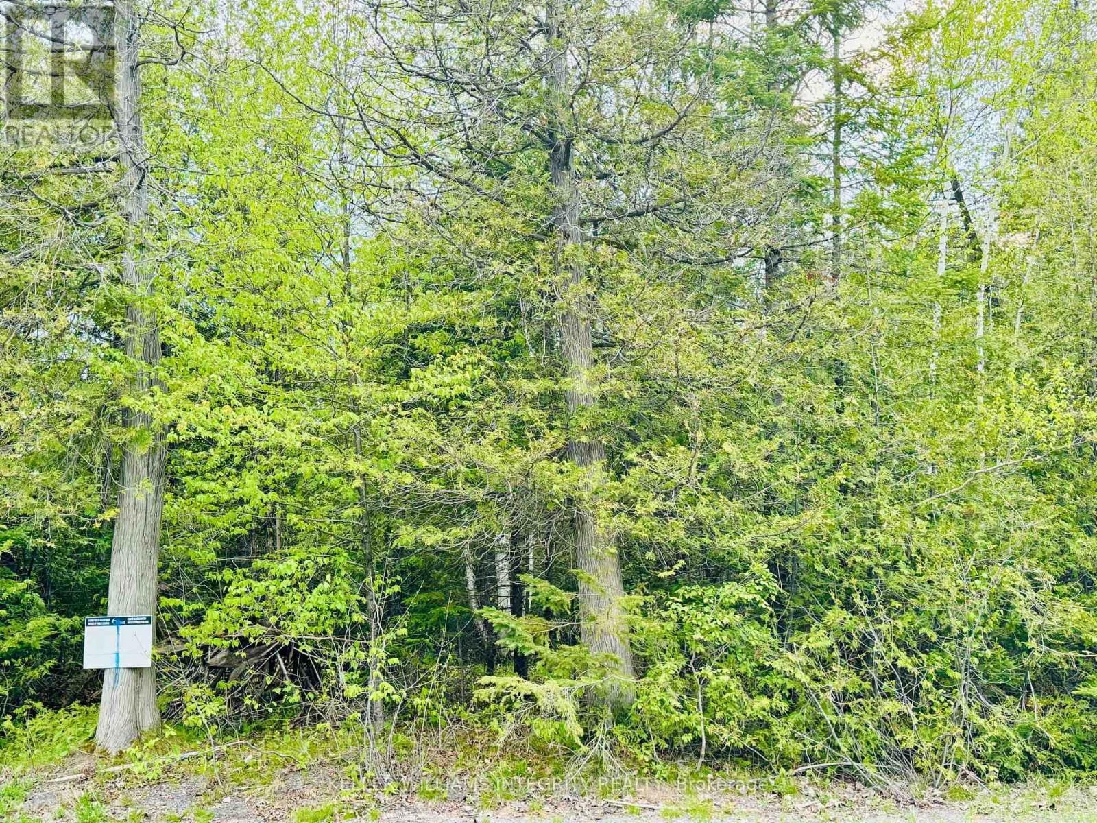 7110 GALLAGHER ROAD Image 1