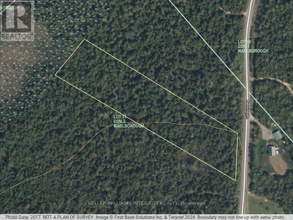 7110 GALLAGHER ROAD Image 3