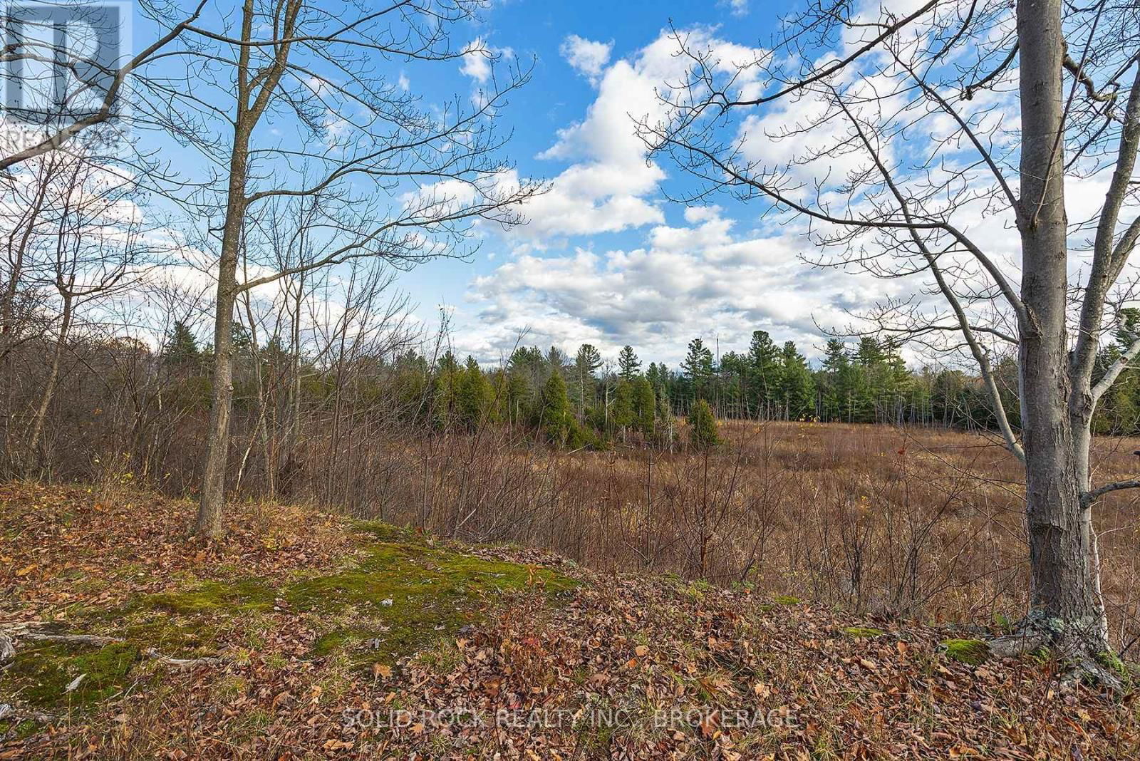 4419 OLD KINGSTON ROAD Image 39