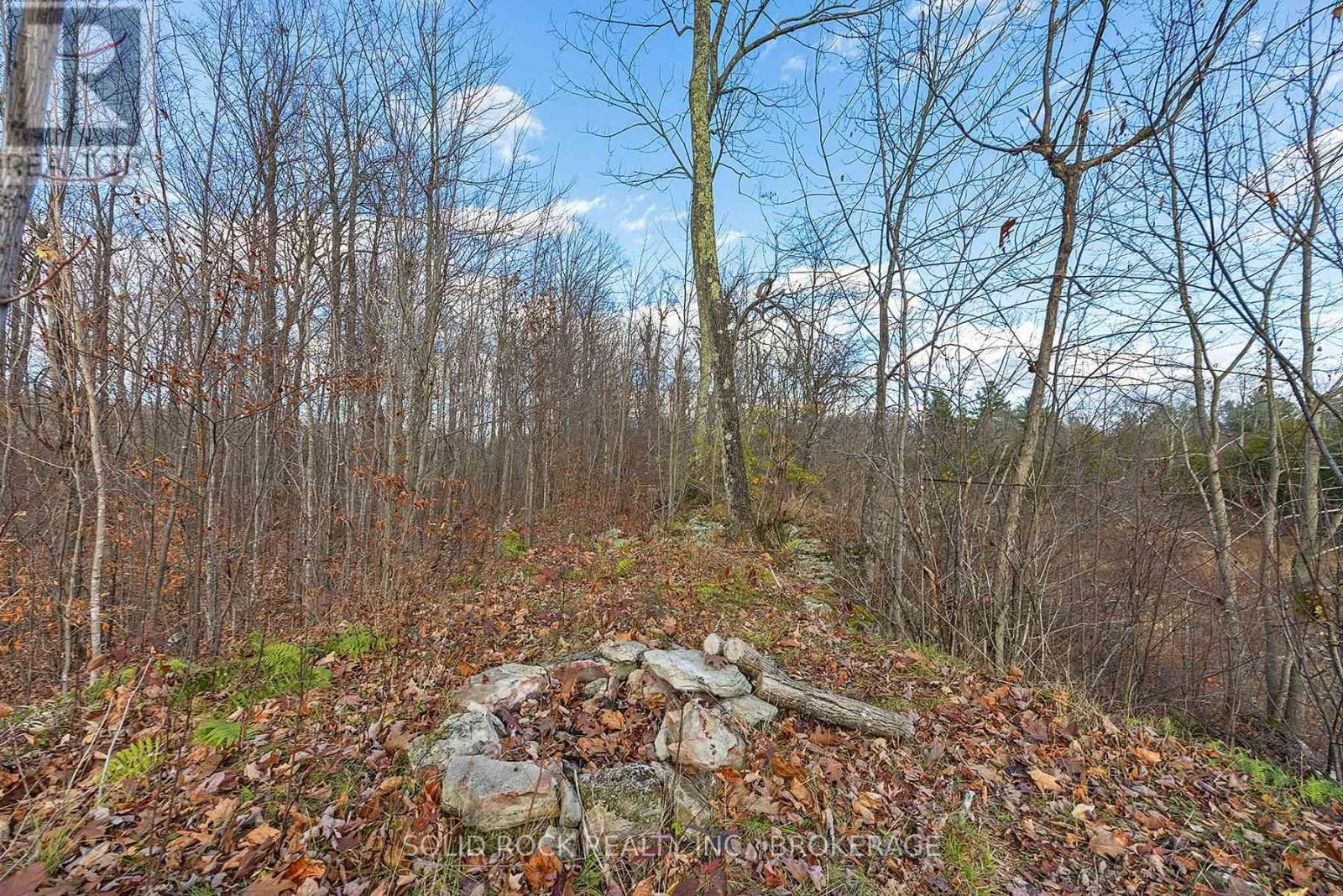 4419 OLD KINGSTON ROAD Image 41